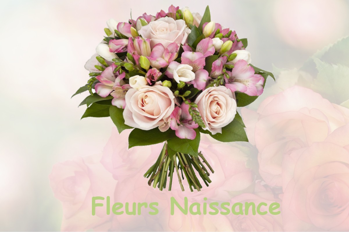 fleurs naissance HEIPPES