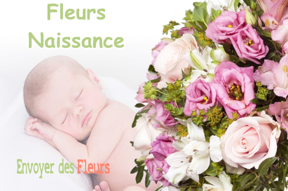 lIVRAISON FLEURS NAISSANCE à HEIPPES